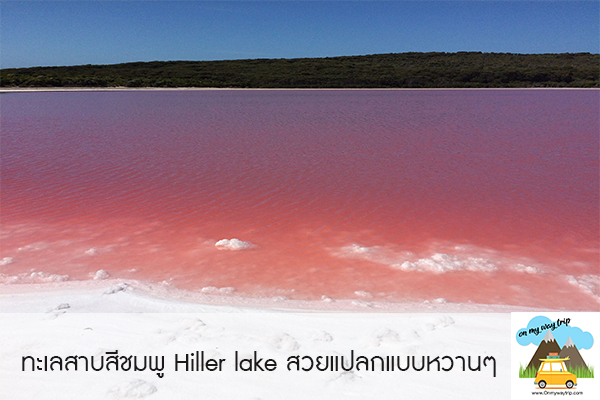 ทะเลสาบสีชมพู Hiller lake สวยแปลกแบบหวานๆ