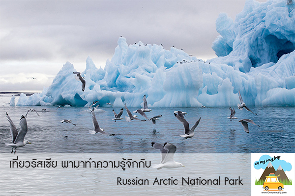 เที่ยวรัสเซีย พามาทำความรู้จักกับ Russian Arctic National Park