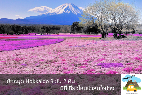 ปักหมุด Hokkaido 3 วัน 2 คืน มีที่เที่ยวไหนน่าสนใจบ้าง เที่ยวไหนดี จองตั๋วเครื่องบินราคาถูก คาเฟ่น่านั่ง เที่ยวต่างประเทศ 5ที่เที่ยว backpackแบ็คแพค