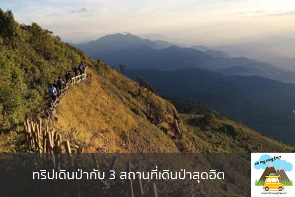 ทริปเดินป่ากับ 3 สถานที่เดินป่าสุดฮิต เที่ยวไหนดี จองตั๋วเครื่องบินราคาถูก คาเฟ่น่านั่ง เที่ยวต่างประเทศ 5ที่เที่ยว backpackแบ็คแพค