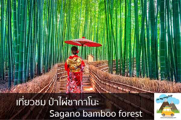 เที่ยวชม ป่าไผ่ซากาโนะ Sagano bamboo forest เที่ยวไหนดี จองตั๋วเครื่องบินราคาถูก คาเฟ่น่านั่ง เที่ยวต่างประเทศ 5ที่เที่ยว backpackแบ็คแพค