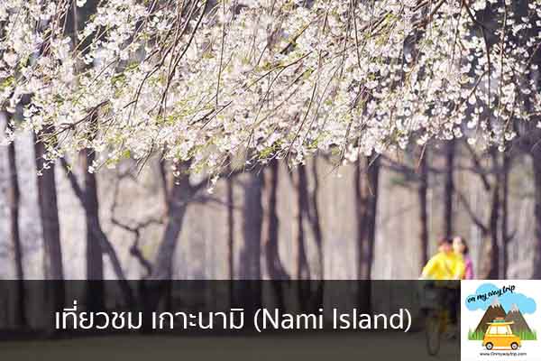 เที่ยวชม เกาะนามิ (Nami Island) เที่ยวไหนดี จองตั๋วเครื่องบินราคาถูก คาเฟ่น่านั่ง เที่ยวต่างประเทศ 5ที่เที่ยว backpackแบ็คแพค