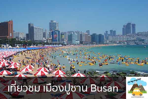 เที่ยวชม เมืองปูซาน Busan เที่ยวไหนดี จองตั๋วเครื่องบินราคาถูก คาเฟ่น่านั่ง เที่ยวต่างประเทศ 5ที่เที่ยว backpackแบ็คแพค