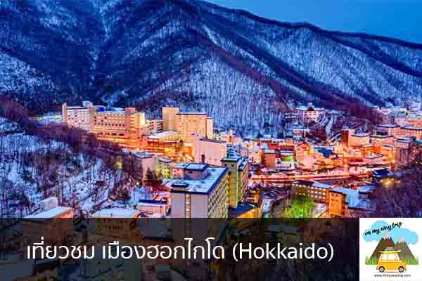 เที่ยวชม เมืองฮอกไกโด (Hokkaido) เที่ยวไหนดี จองตั๋วเครื่องบินราคาถูก คาเฟ่น่านั่ง เที่ยวต่างประเทศ 5ที่เที่ยว backpackแบ็คแพค