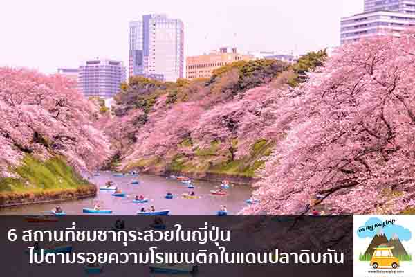 6 สถานที่ชมซากุระสวยในญี่ปุ่น ไปตามรอยความโรแมนติกในแดนปลาดิบกัน เที่ยวไหนดี จองตั๋วเครื่องบินราคาถูก คาเฟ่น่านั่ง เที่ยวต่างประเทศ 5ที่เที่ยว backpackแบ็คแพค