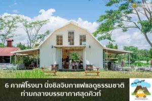 6 คาเฟ่โรงนา นิ่งชิลจิบกาแฟแลดูธรรมชาติ ท่ามกลางบรรยากาศสุดคิวท์ เที่ยวไหนดี จองตั๋วเครื่องบินราคาถูก คาเฟ่น่านั่ง เที่ยวต่างประเทศ 5ที่เที่ยว backpackแบ็คแพค