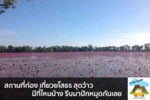 สถานที่ท่อง เที่ยวยโสธร สุดว้าว มีที่ไหนบ้าง รีบมาปักหมุดกันเลย เที่ยวไหนดี จองตั๋วเครื่องบินราคาถูก คาเฟ่น่านั่ง เที่ยวต่างประเทศ 5ที่เที่ยว backpackแบ็คแพค